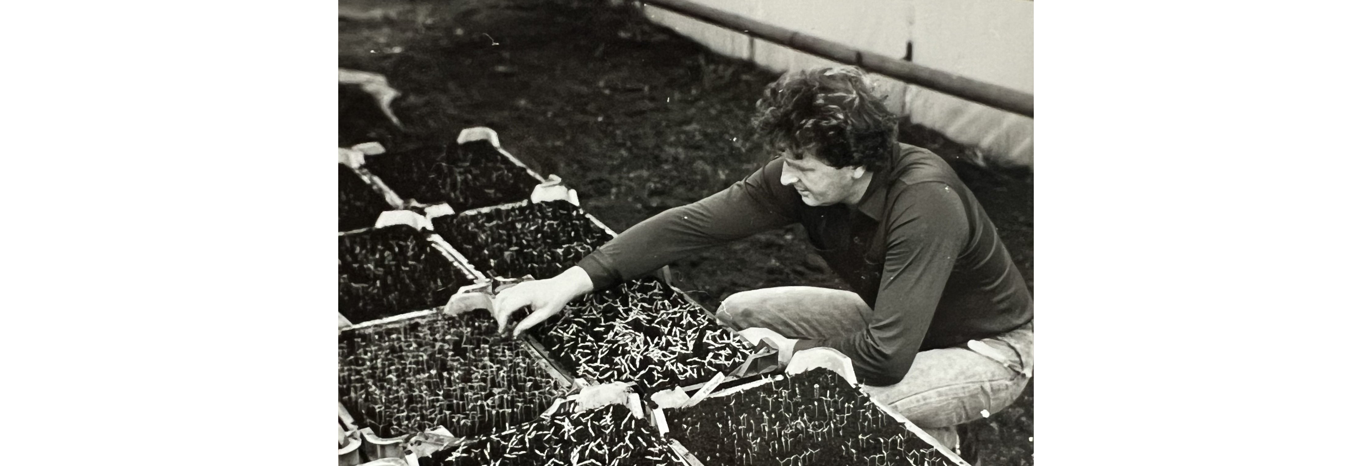 Desktop Banner Image