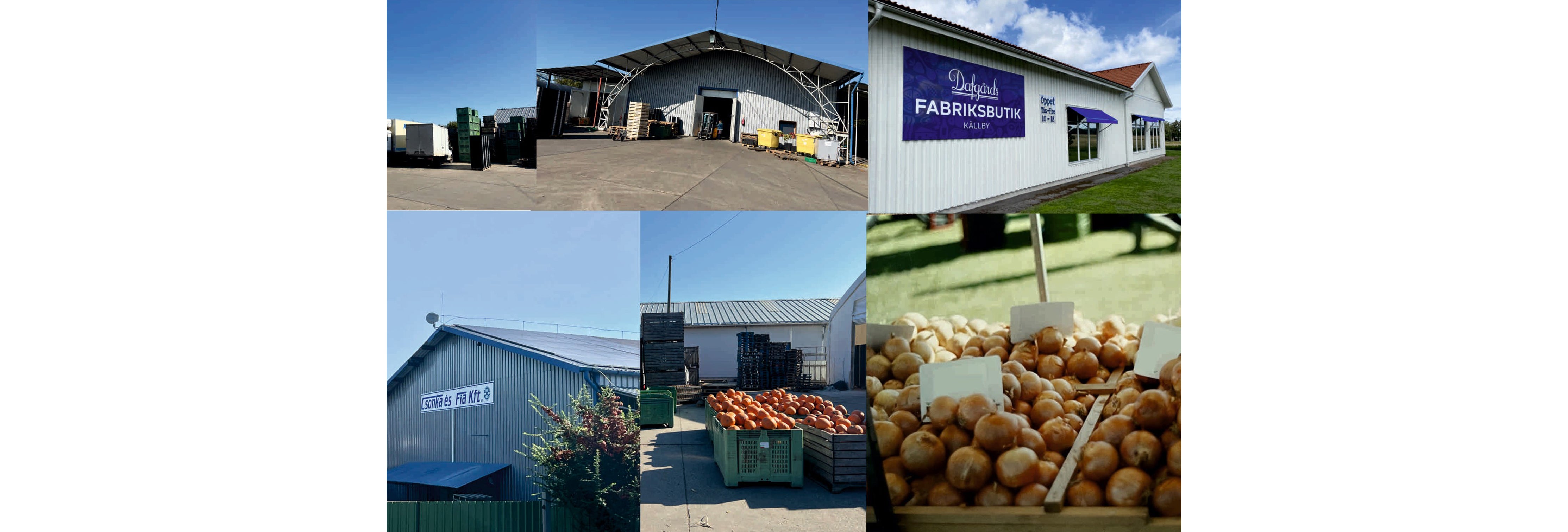 Desktop Banner Image