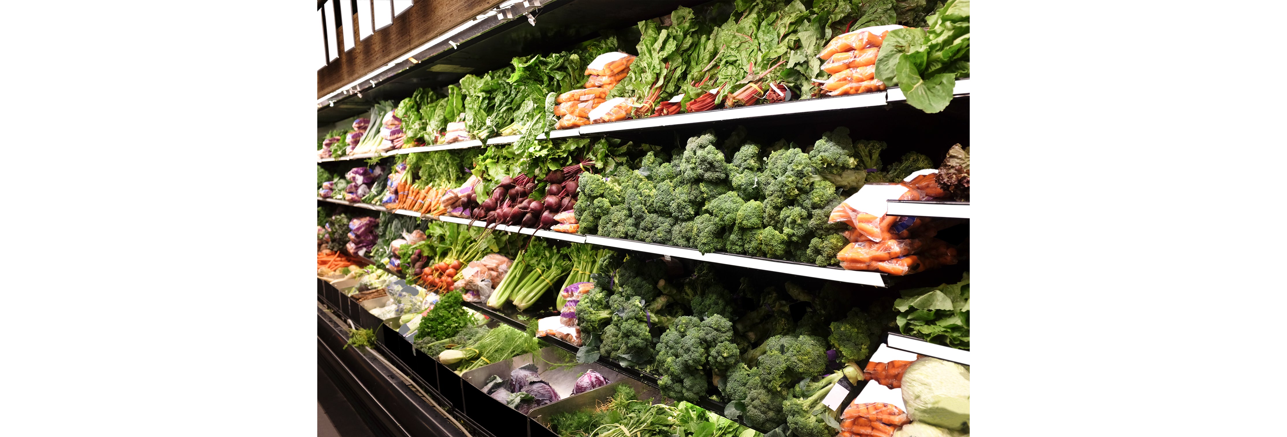 Desktop Banner Image