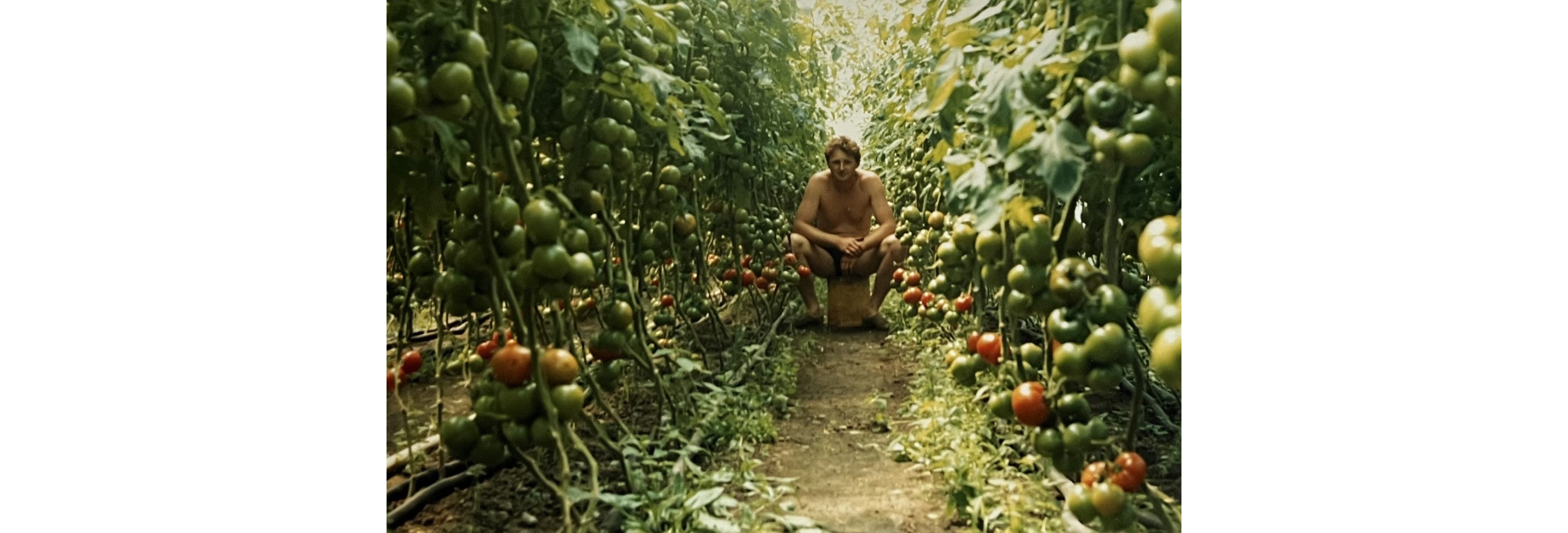 Desktop Banner Image