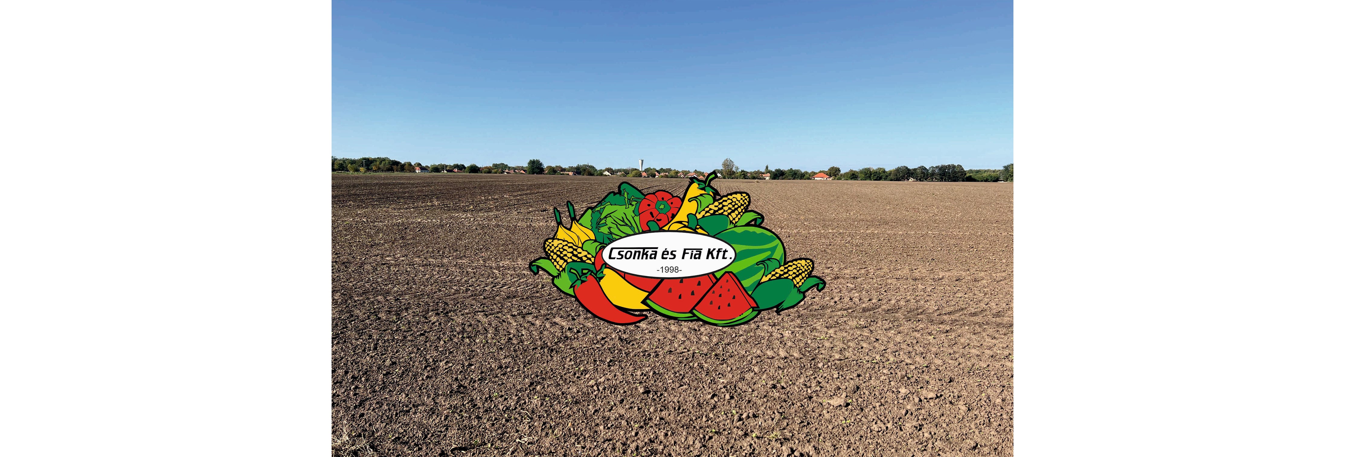 Desktop Banner Image